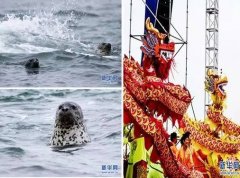 <b>也能够申明一个科普</b>